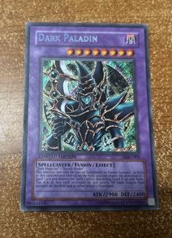 Yugioh Dark Paladin DMG-001 Limited Edition Secret Rare - LP - Image 1