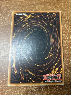 Yugioh Dark Paladin DMG-001 Limited Edition Secret Rare - LP - Image 2