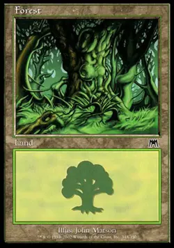 Damaged, English MTG Foil Forest (348) - Foil Onslaught Magic the Gathering - Image 1