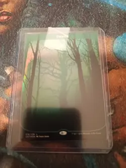 Forest Unstable Foil, NM, Magic. MTG, FREE NEXT DAY SHIPPING! - Image 1