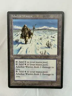 MTG Magic Ice Age Adarkar Wastes Land Card Regular Rare Mike Raabe English - Image 1