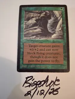 MTG Beta Web - See Pics for Condition - bigedude - Image 1