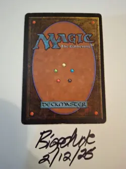 MTG Beta Web - See Pics for Condition - bigedude - Image 2