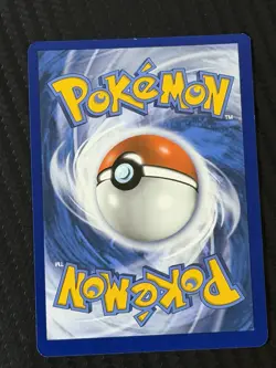 Pokemon XY Evolutions Gyarados Holo Rare 34/108 2016 - Image 2