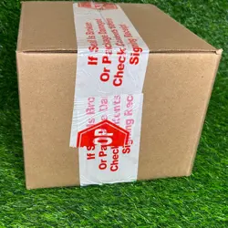 MTG Doctor Who Commander Deck Factory Sealed Case - Full Set of 4 - Image 5