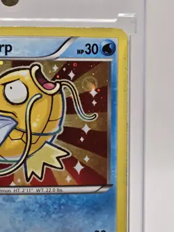 Magikarp XY143 Holo Pokemon TCG XY Black Star Promo Card Target HP - Image 4