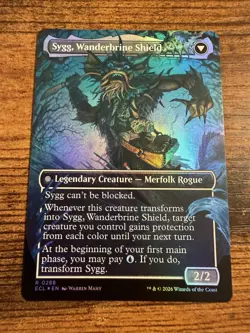 MTG Lorwyn Eclipsed BORDERLESS FOIL Sygg Wanderwine Wisdom Wanderbrine Shield - Image 2