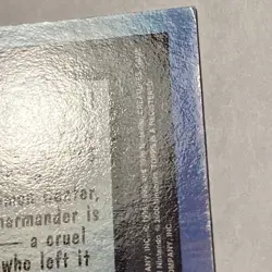 Charmander - The Stray Pokemon Card TCG Topps TV Animation - Image 4