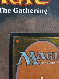 Magic: The Gathering NATURAL ORDER Visions RARE Lightly Played - Image 3