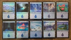 MTG Magic the Gathering Collection Lot Basic Lands 550 with 50 Foils NM #2 - Image 3