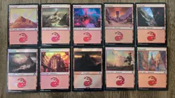 MTG Magic the Gathering Collection Lot Basic Lands 550 with 50 Foils NM #2 - Image 4