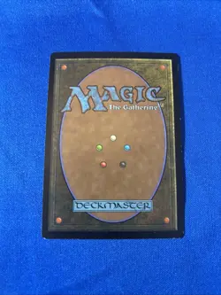 FOIL HEART WARDEN LP Urza’s Destiny mtg Magic fast shipping - Image 2