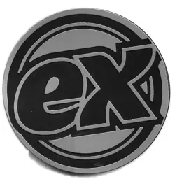 Pokemon TCG Jumbo Coin - EX - Silver - Image 1