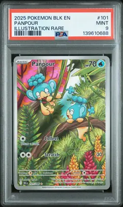 2025 POKEMON BLK EN-BLACK BOLT ILLUSTRATION RARE #101 PANPOUR PSA 9 - Image 1