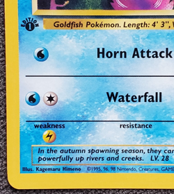1st Edition Seaking - Jungle - #46/64 - Vintage Pokemon Card 1999 WOTC - Image 5
