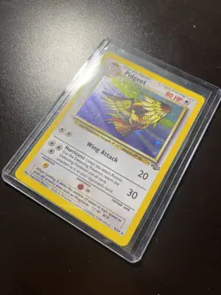 1999 Pokemon TCG Pidgeot #8/64 Holo Jungle Card 1999 Vintage - Image 2