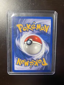 1999 Pokemon TCG Pidgeot #8/64 Holo Jungle Card 1999 Vintage - Image 3
