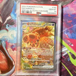 Pokemon Dachsbun ex Sv07 Stellar Crown 169/142 Special Illustration Holo PSA 10 - Image 1