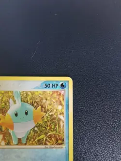 Pokemon Card Mudkip 59/109 EX Ruby & Sapphire Common - Image 3