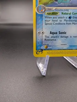 Marshtomp 41/109 - Ruby & Sapphire Regular - Pokemon TCG - NM/LP - Image 4