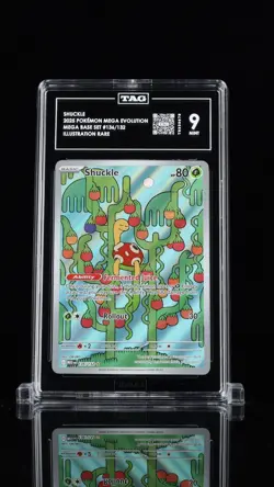 Shuckle 136/132 - Pokemon Mega Evolution Illustration Rare Tag 9 Mint - Image 1
