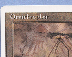 Ornithopter German Mtg MISPRINT Wrong name - Image 2