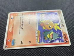 PokePark Torchic Promo 047/PCG-P Pokemon Card Game Japanese Free Shipping - Image 3