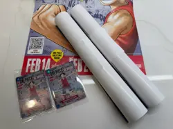 LOT 2 Cards & 2 Posters One Piece College Tour Cards with 2 posters from UH - Image 2