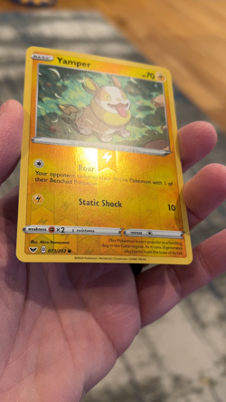Pokemon TCG Yamper Rev Holo - Sword & Shield 073/202 - LP/MP - Reverse Holofoil - Image 2
