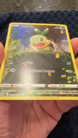 Turtwig - GG31/GG70 - Holo Rare NM, English Pokemon Crown Zenith Galarian Gal. - Image 2