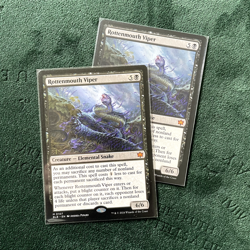 2 x Rottenmouth Viper [Bloomburrow] (Pair) - Image 1