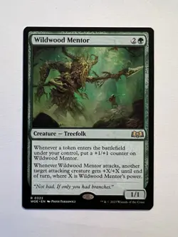 Wildwood Mentor - MTG Wilds of Eldraine - NM - Image 1