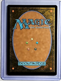 MTG Magic The Gathering SLD Secret Lair Borderless Foil #1855 Northern Paladin - Image 2