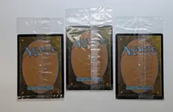 Bronzehide Lion + Adorned Pouncer + Skycat Sovereign ✨Sealed Foil NM✨ Magic MTG - Image 3