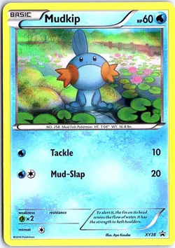 Mudkip - Promo XY Promos XY38 LP Pokemon - Image 1