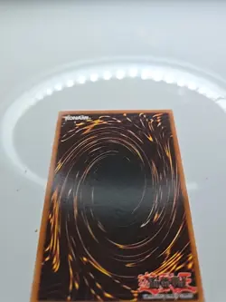 Yugioh King of the Swamp AST-082 Ancient Sanctuary 1st Edition NM/VLP - Image 4