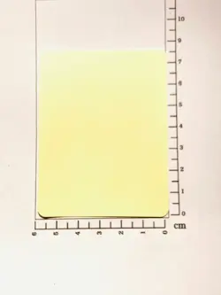 Mimikyu Prism Pokemon Card Game No. 16 Very Rare From Japan MARUMIYA F/S - Image 5