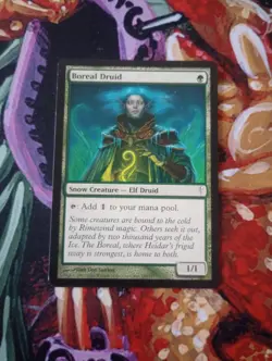 Boreal Druid - MTG - Coldsnap - CSP - LP - Image 1