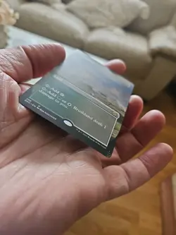 Brushland (Borderless) NM #298 The Brothers' War MTG - Image 3