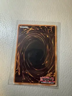 Yugioh! Timaeus the United Magidragon Maze of the Muertos 2 copies - Image 5