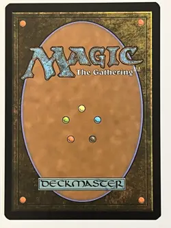 Yavimaya Coast (Borderless) Dominaria United Non-Foil Regular MTG NM - Image 2