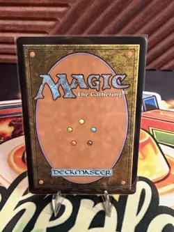 Abundant Countryside (Extended Art) Commander: Lorwyn Eclipsed Regular - Image 2