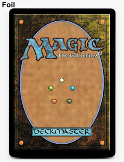 Cat Collector (FOIL) - [Foundations] MTG Magic - NM/M ⚪ - Image 2