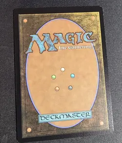 The Shire (Borderless) ( Foil) Universes Beyond: the Lord of the Rings - Image 4