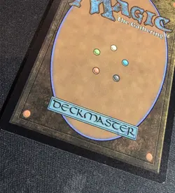 The Shire (Borderless) ( Foil) Universes Beyond: the Lord of the Rings - Image 5