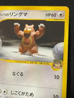 Ursaring e Pokemon Card Game Very Rare Japan Pocket Monsters Nintendo F/S - Image 3