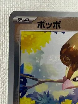 Pidgey C 016/165 Master Ball Mirror sv2a Pokemon Card 151 Japanese 2023 (MP) - Image 2