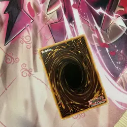 S:P Little Knight AGOV-EN046 Age of Overlord 1st Edition - Image 2