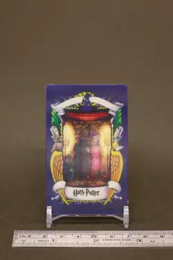 Fat Lady Portrait Harry Potter Chocolate Frog Card Japanese USJ Warner c - Image 2