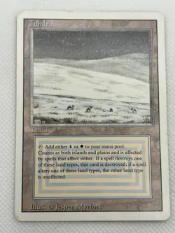 Tundra Revised Edition Regular - Image 1
